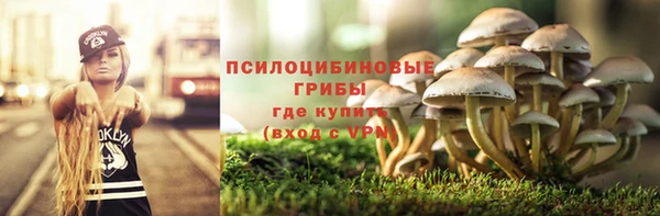 прущая мука Краснотурьинск