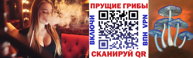 Купить закладки  Макаров  Галлюциногенные грибы ЛСД 
